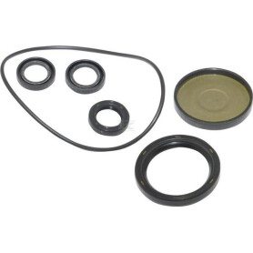 Kit BRIGGS & STRATTON 202B2126GS