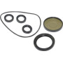 Kit BRIGGS & STRATTON 202B2126GS