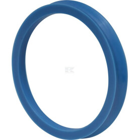 Bague SPICER DANA 2130600603