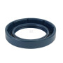Bague d'étanchéité SDF 215202200