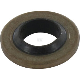 Rondelle TUFF TORQ 22190060000