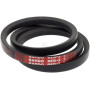 Courroie HONDA 22431V45A11