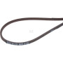 Courroie HONDA 22431VL0P01