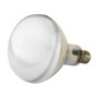 Lampe infrarouge KERBL 22252KER