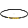 Courroie HONDA 22431V35003