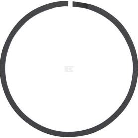Segment SPICER DANA 230416