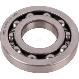 Cuscinetto sfera RAICO 229990010N