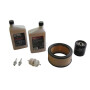 Kit d'entretien KOHLER 2478903S