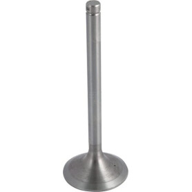 Soupape d'aspiration URSUS 26900089005915