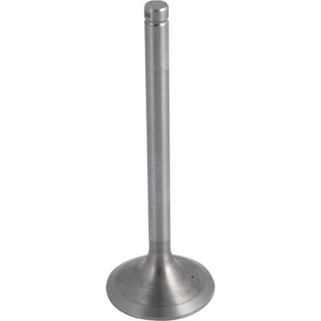 Soupape d'aspiration URSUS 26900089005915
