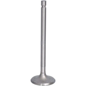 Soupape d'aspiration URSUS 26900050008470