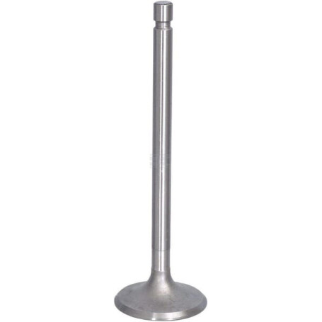 Soupape d'aspiration URSUS 26900050008470