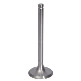 Soupape d'aspiration URSUS 26900080005014