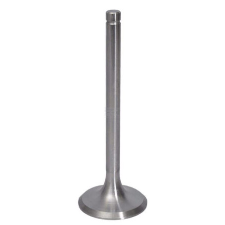 Soupape d'aspiration URSUS 26900080005014