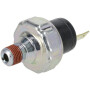 Interrupteur KAWASAKI 270100817