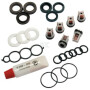 Kit de pompe KÄRCHER 28838690