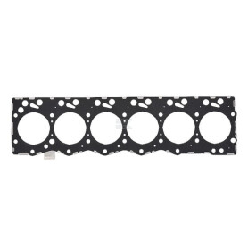 Joint de culasse CASE IH 2830704