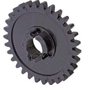 Pignon KONGSKILDE 300063547