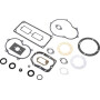 Kit BRIGGS & STRATTON 299719