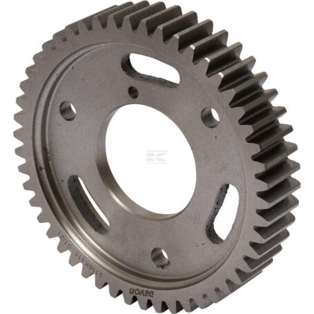 Engrenage RAICO 3116K111N