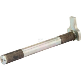 Bullone FN D25x223/239 LEMKEN 3132533