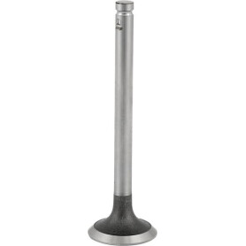 Exhaust valve KORURS 31431881N