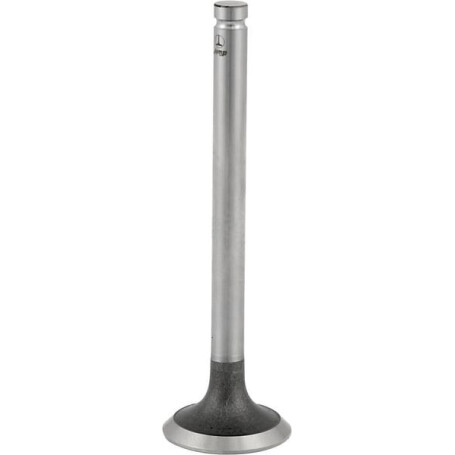 Exhaust valve KORURS 31431881N