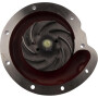 Pompe à eau OMP 3132739R94OMP