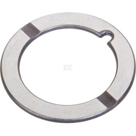 Disque LANDINI 3309354M1