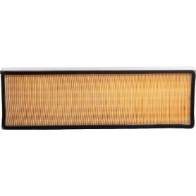 Filtre LANDINI 3302666M92
