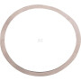 Rondelle SPICER DANA 3428722M1N