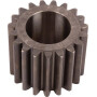 Pignon SPICER DANA 3429984M1N