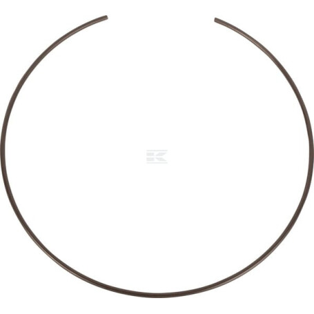 Circlip SPICER DANA 3428523M1N