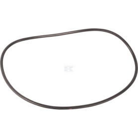 Bague AGCO 3384524M1