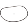 Bague AGCO 3384524M1