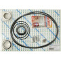 Pignon BAUER 3455007