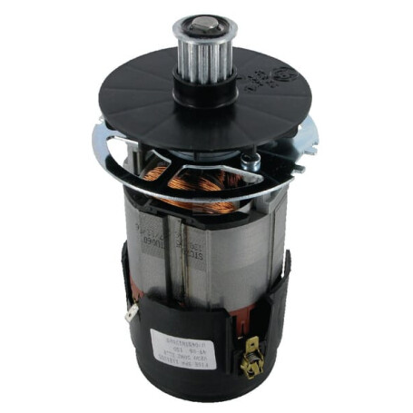 Moteur électrique WOLF-GARTEN 3615916