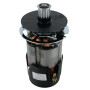 Moteur électrique WOLF-GARTEN 3615916