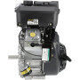 Moteur BRIGGS & STRATTON 3564420667F1