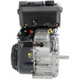 Moteur BRIGGS & STRATTON 3564420667F1