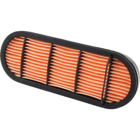 Filtre LANDINI 3695442M92
