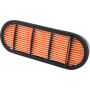 Filtre LANDINI 3695442M92
