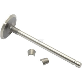 Soupape d'admission BRIGGS & STRATTON 394435