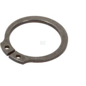 Bague AGCO 395565X1