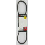Courroie MURRAY 37X100