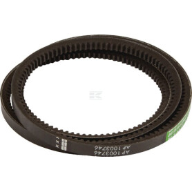 Courroie OPTIBELT 3619084M91AB1