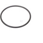 Bague LANDINI 372962X1
