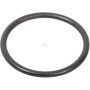 Bague LANDINI 364777X1