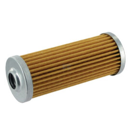 Filtre LANDINI 3651812M91