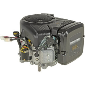 Moteur BRIGGS & STRATTON 3867770011G1